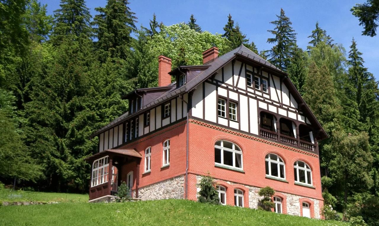 Отели типа «постель и завтрак» Villa Titina Мендзыгуже-4